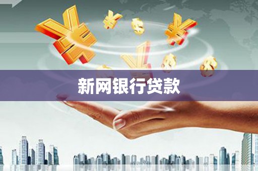 中埔新网银行贷款