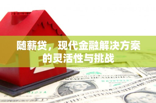 中埔随薪贷，现代金融解决方案的灵活性与挑战