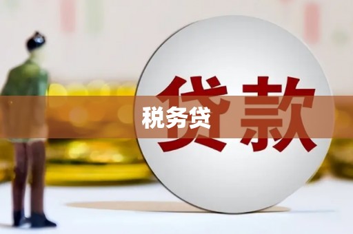 中埔税务贷