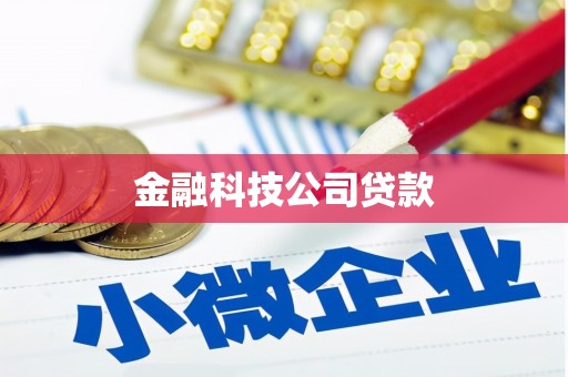 中埔金融科技公司贷款