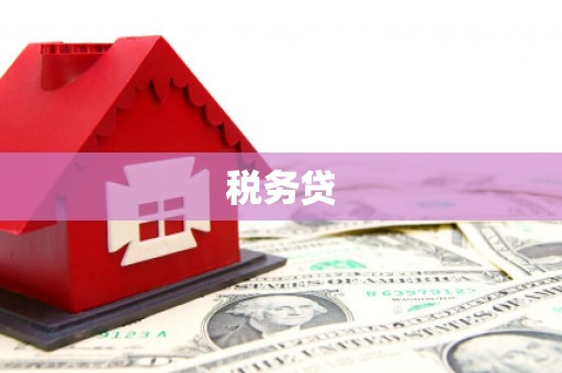 中埔税务贷