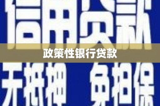 中埔政策性银行贷款