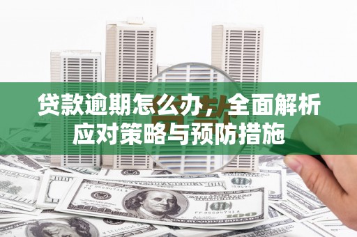 中埔贷款逾期怎么办，全面解析应对策略与预防措施