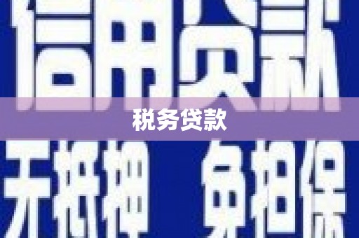 中埔税务贷款