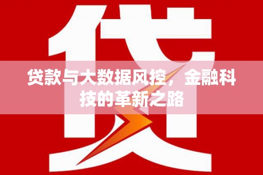 中埔贷款与大数据风控，金融科技的革新之路