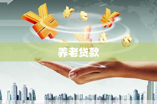 中埔养老贷款