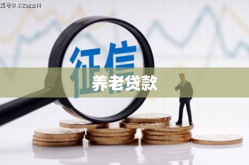 中埔养老贷款