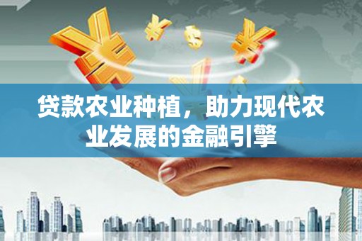 中埔贷款农业种植，助力现代农业发展的金融引擎