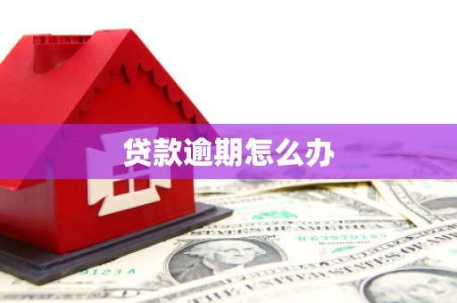 中埔贷款逾期怎么办