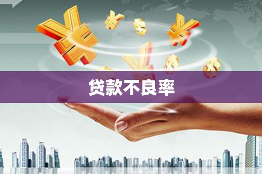 中埔贷款不良率