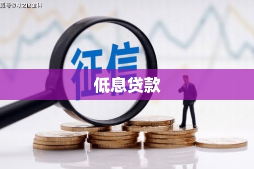 中埔低息贷款
