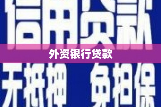 中埔外资银行贷款