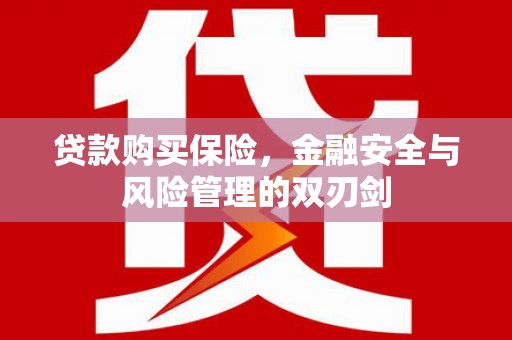 中埔贷款购买保险，金融安全与风险管理的双刃剑