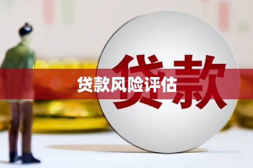 中埔贷款风险评估