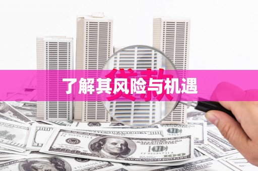 中埔了解其风险与机遇