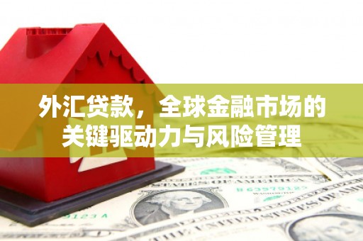 中埔外汇贷款，全球金融市场的关键驱动力与风险管理