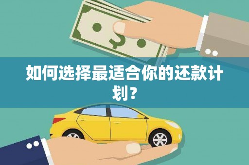 中埔如何选择最适合你的还款计划？
