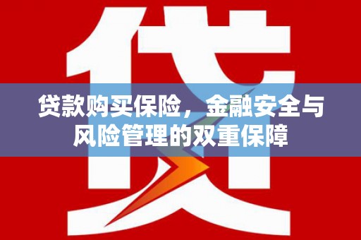 中埔贷款购买保险，金融安全与风险管理的双重保障