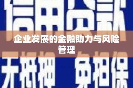 中埔企业发展的金融助力与风险管理