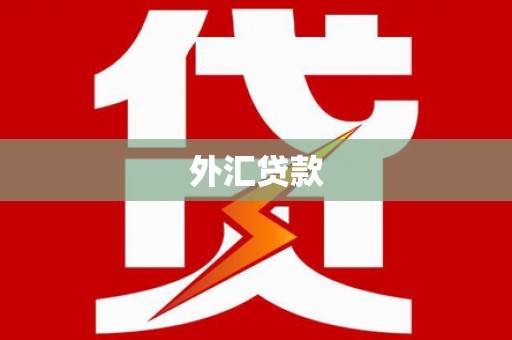 中埔外汇贷款