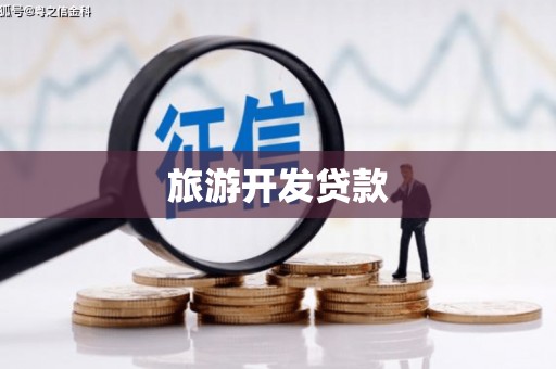 中埔旅游开发贷款