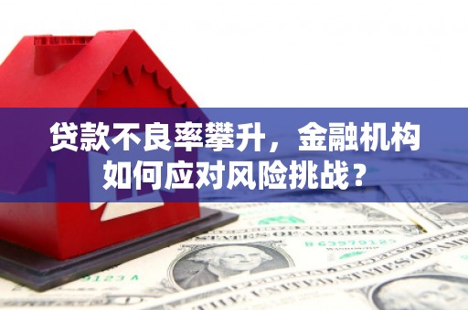 中埔贷款不良率攀升，金融机构如何应对风险挑战？