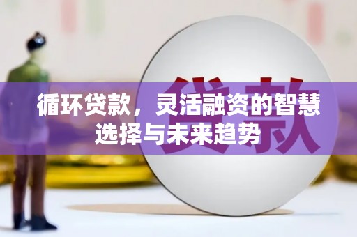 中埔循环贷款，灵活融资的智慧选择与未来趋势