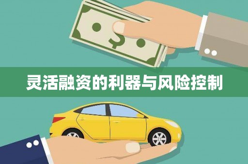 中埔灵活融资的利器与风险控制