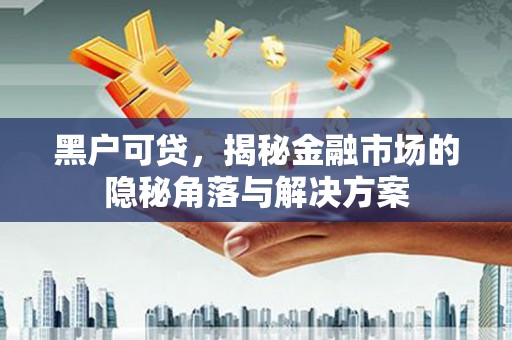 中埔黑户可贷，揭秘金融市场的隐秘角落与解决方案