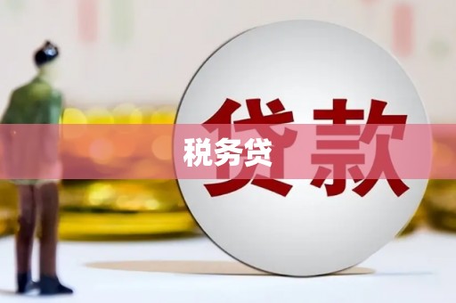 中埔税务贷