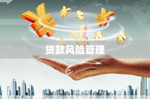 中埔贷款风险管理