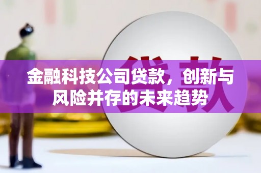中埔金融科技公司贷款，创新与风险并存的未来趋势