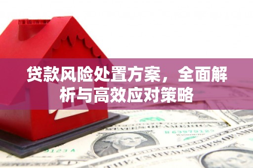 中埔贷款风险处置方案，全面解析与高效应对策略