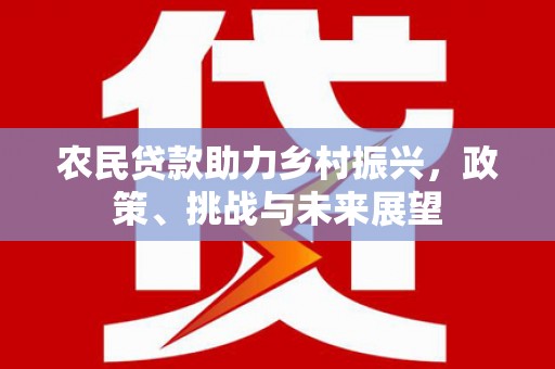 中埔农民贷款助力乡村振兴，政策、挑战与未来展望