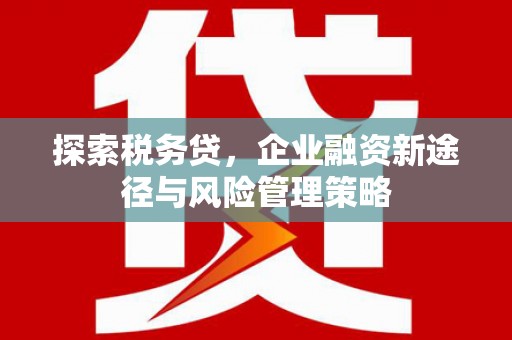 中埔探索税务贷，企业融资新途径与风险管理策略