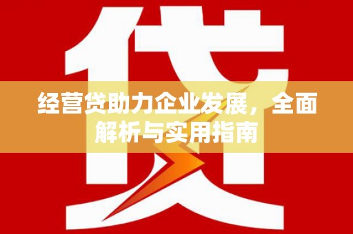 中埔经营贷助力企业发展，全面解析与实用指南
