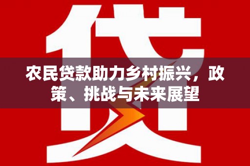 中埔农民贷款助力乡村振兴，政策、挑战与未来展望