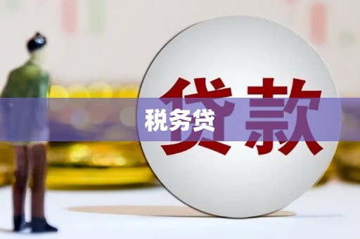 中埔税务贷