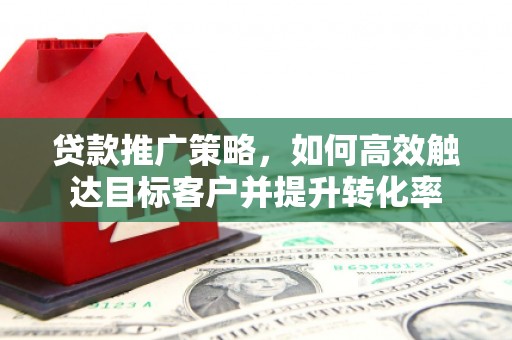 中埔贷款推广策略，如何高效触达目标客户并提升转化率