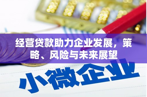 中埔经营贷款助力企业发展，策略、风险与未来展望