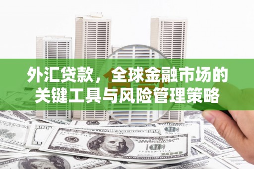 中埔外汇贷款，全球金融市场的关键工具与风险管理策略