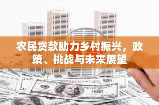 中埔农民贷款助力乡村振兴，政策、挑战与未来展望