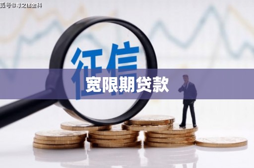 中埔宽限期贷款