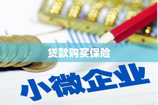 中埔贷款购买保险
