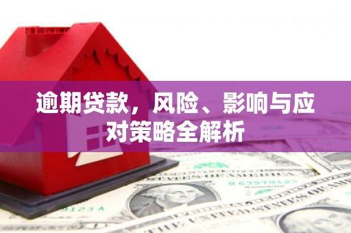 中埔逾期贷款，风险、影响与应对策略全解析