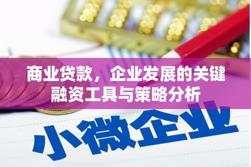 中埔商业贷款，企业发展的关键融资工具与策略分析