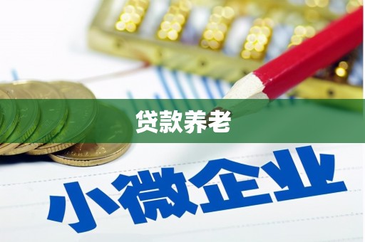 中埔贷款养老