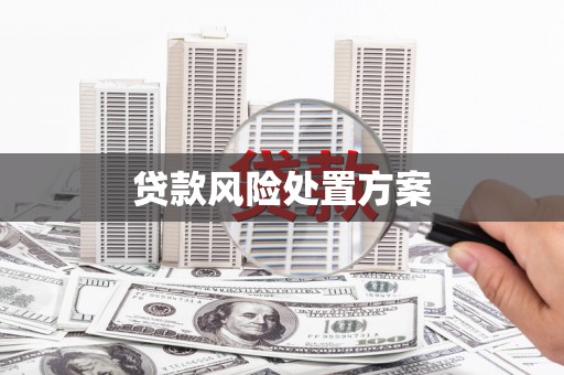 中埔贷款风险处置方案