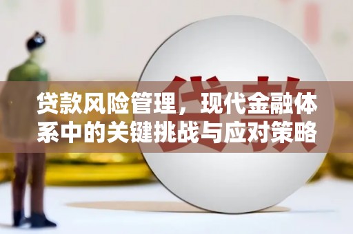 中埔贷款风险管理，现代金融体系中的关键挑战与应对策略