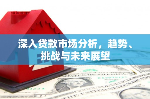 中埔深入贷款市场分析，趋势、挑战与未来展望